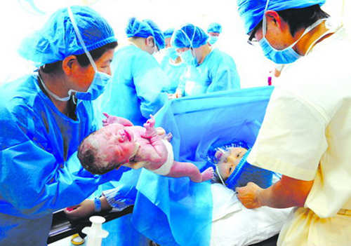 上海供卵试管婴儿试管医生告诉你有哪些误区!