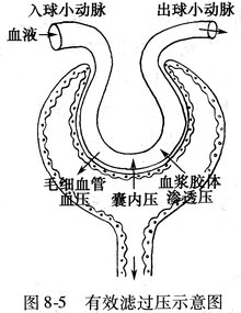 洛阳市妇幼保健院借卵供卵代生代怀费用多少钱？(2022年洛阳试管助孕费用)