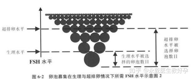 想做借卵代生试管的夫妇要做哪些准备？