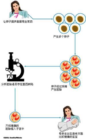 济南做供卵试管自怀的费用是多少？