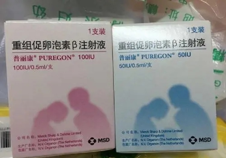 一个42岁的高龄女性借卵做代怀试管代生的费用是多少？附一个男孩用捐赠卵子借卵做试管三代自怀的费用清单