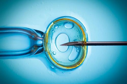 西安交大一附院借卵做试管供卵自怀费用表，2023年生育科试管助孕成功率公布