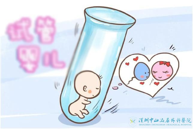 上海赠卵试管婴儿价格表