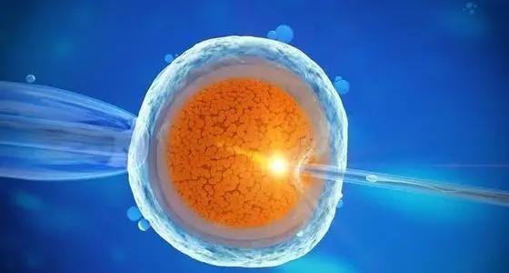 一文读懂什么是取卵后腹水,可放弃鲜胚移植做好预防措施