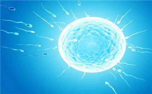 一文读懂什么是取卵后腹水,可放弃鲜胚移植做好预防措施