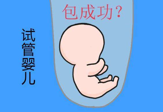 2024去上海市妇幼保健院试管代怀与成功率怎么样（试管费用是多少？）