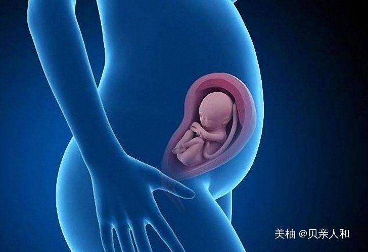 2024年上海三代代怀生子合法吗龙凤胎的费用大约是多少